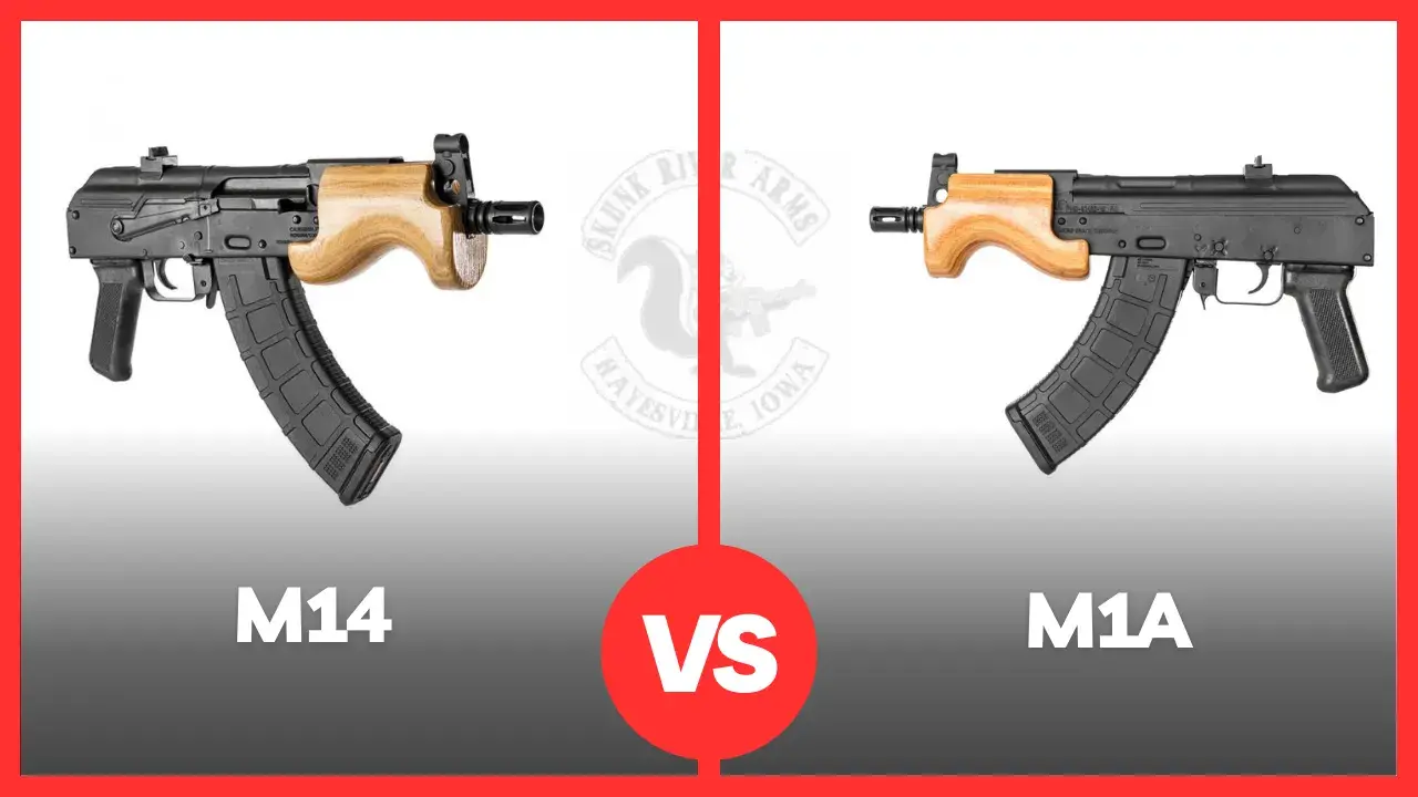 Mini Draco Vs Micro Draco [Which One Is Better?] Skunk River Arms