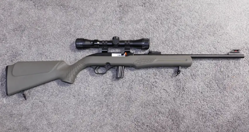 Best Scope For Rossi RS22 - Skunk River Arms